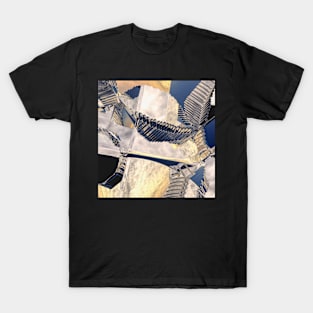 Abstract No. 2048 T-Shirt